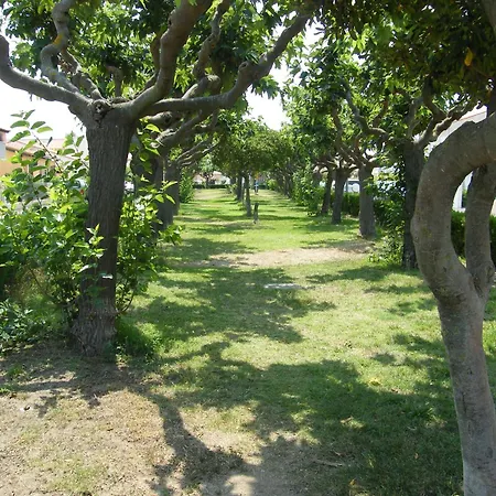 Terrasse Privative Etage Soleil Catalan 150m 6 Pers Animaux Cheque Vacance Saint-Cyprien (Pyrenees-Orientales)