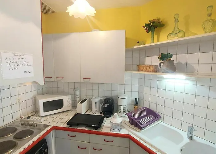 Terrasse Privative Etage Soleil Catalan 150m 4 Pers Animaux Cheque Vacance * Saint-Cyprien (Pyrenees-Orientales)