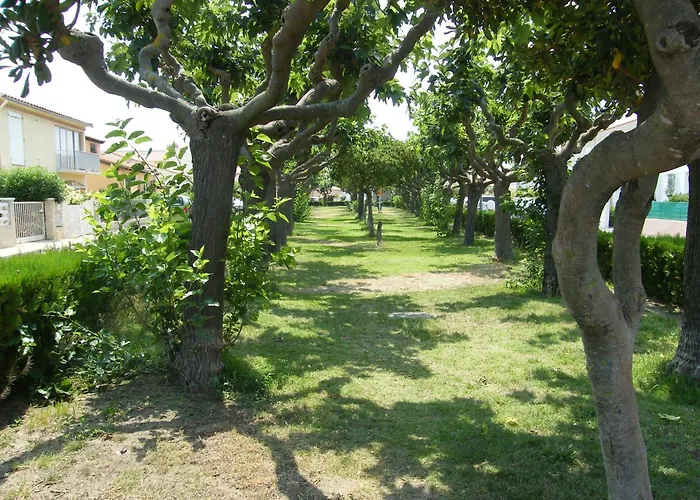 Appartement Terrasse Privative Etage Soleil Catalan 150m 4 Pers Animaux Cheque Vacance