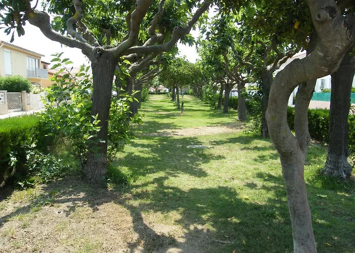Terrasse Privative Etage Soleil Catalan 150m 4 Pers Animaux Cheque Vacance Saint-Cyprien (Pyrenees-Orientales)